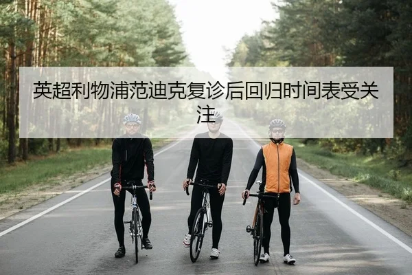 英超利物浦范迪克复诊后回归时间表受关注